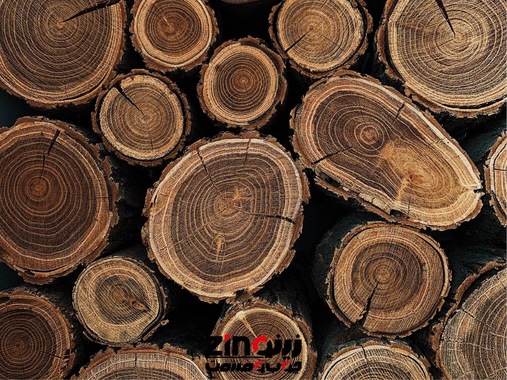 نرم ترین و سخت ترین چوب